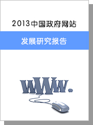 2013年中国政府网站发展研究报告