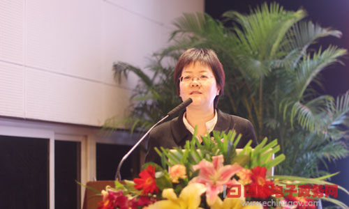 在"2014中国智慧政府发展年会"上，国脉互联总经理、首席规划师郑爱军发表主题演讲